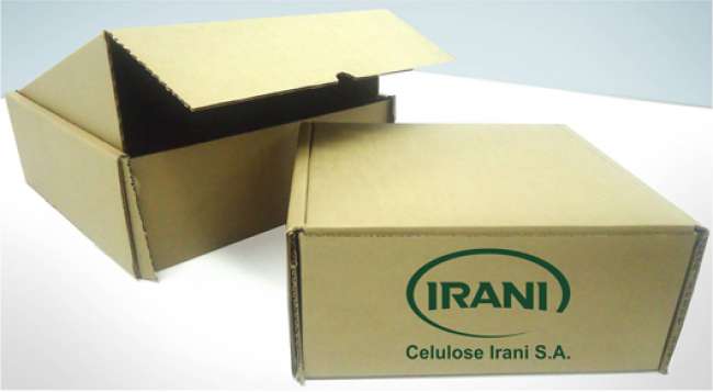 Caixa de papelão ondulado antiviolação, da Celulose Irani