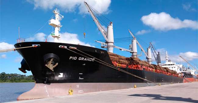 Transporte de madeira por mar bate recorde nas operações da Fibria