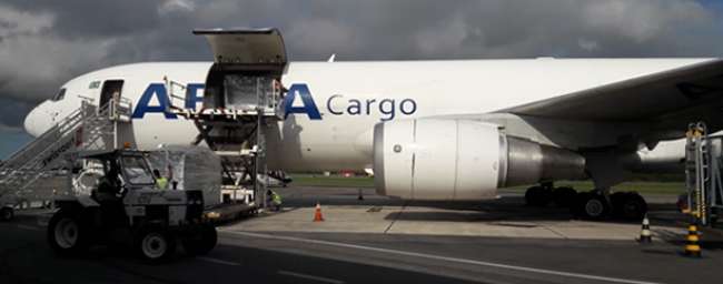 Aeroporto de Vitória recebe novo voo cargueiro para Miami
