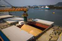 Porto de Santos inicia o ano com crescimento de 16% na movimentação de cargas