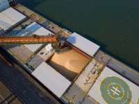 Movimentação de cargas cresce 17,7% no Porto de Santos
