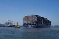 Porto de Santos movimentou 95,5 milhões de toneladas até julho