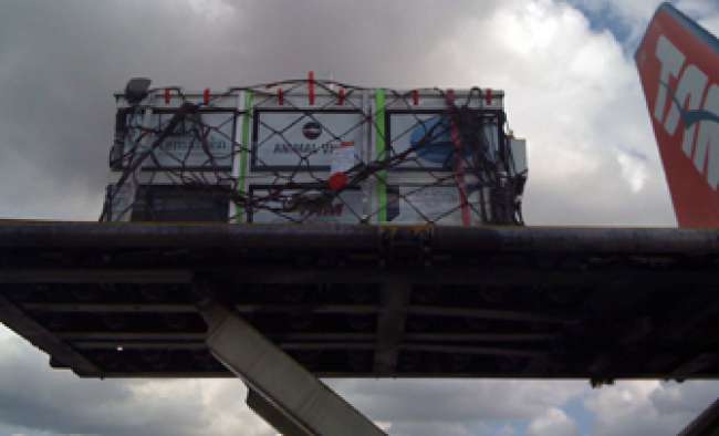 TAM-Cargo-Tubarão-1-site TAM Cargo traz tubarão da Argentina para o Brasil