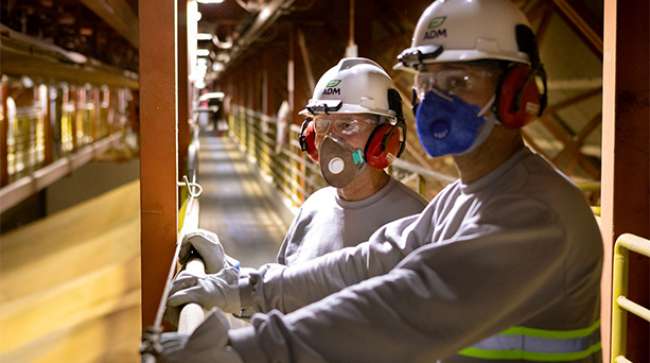 Agronegócio: inovação a serviço do comércio exterior