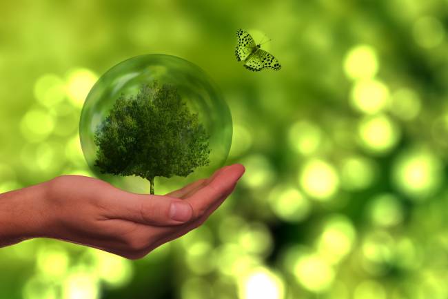 Atvos inicia construção de sua primeira fábrica de biometano e reforça protagonismo na transição energética