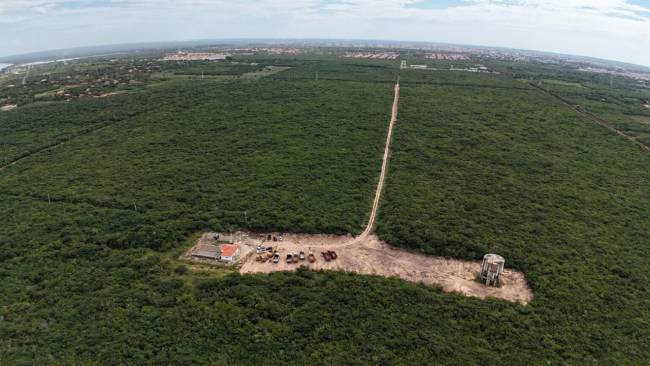 Piauí inicia construção da maior usina de hidrogênio verde do mundo