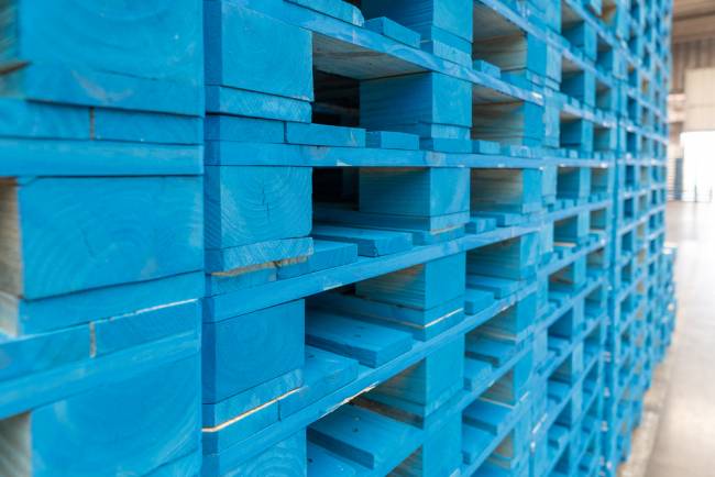 Logística sustentável é estratégia de negócios em setor que movimenta mais de 5 bilhões por ano