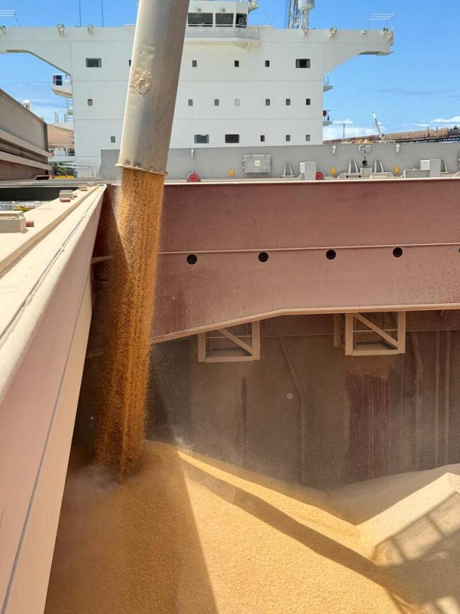 VLI realiza primeiro embarque de milho à China pelo Espírito Santo