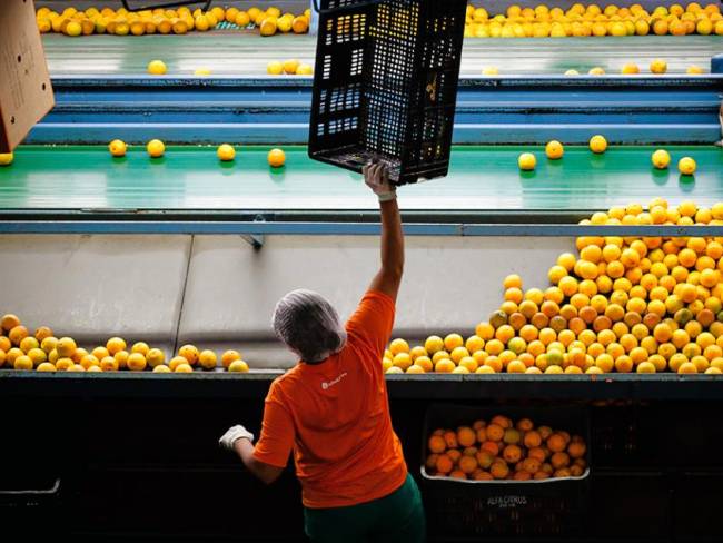 Alfa Citrus compartilha embalagens retornáveis com varejistas, melhora a produtividade e reduz custos