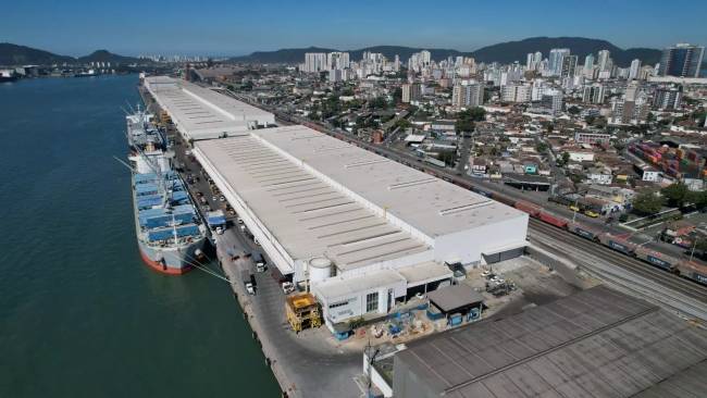 Suzano embarca 5,8 milhões de toneladas de celulose em Santos e responde por 58,8% das exportações de celulose do porto