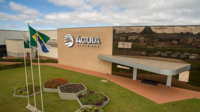 Águia Sistemas cresce 34% em 2025 e projeta faturamento de R$ 1 bilhão em 2026