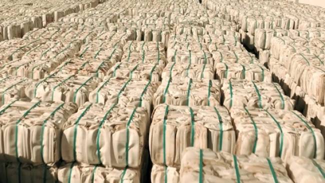 Sistema Campo Limpo bate recorde de destinação e reduz em 5% o custo por quilo destinado