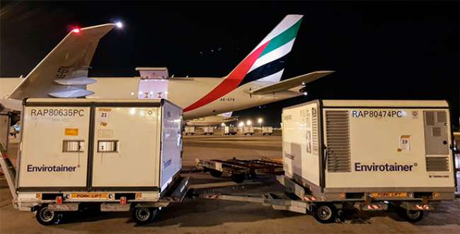 Emirates SkyCargo transporta 25 toneladas de vacinas da Itália para o Brasil