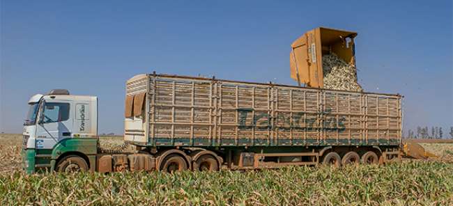 Transgrãos adquire 120 caminhões Mercedes-Benz Axor