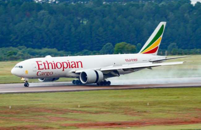 Ethiopian Airlines inicia voos cargueiros para o Aeroporto de Viracopos