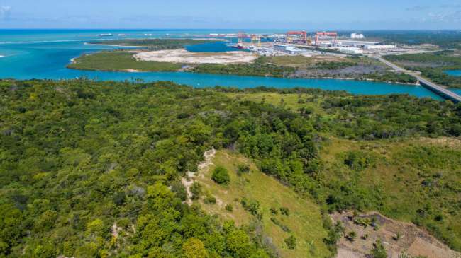 Porto de Suape lança Projeto Carbono Neutro 