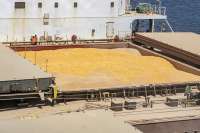 Volume de milho embarcado em janeiro em Paranaguá cresce 161% em relação a 2022