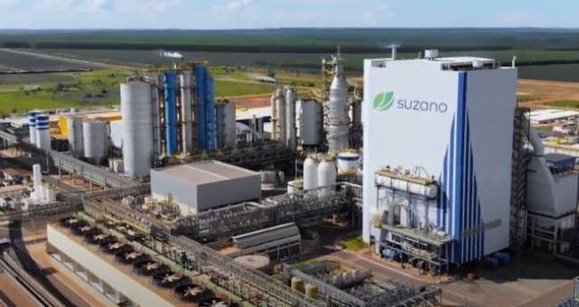 Suzano recebe navio especializado para o transporte de celulose