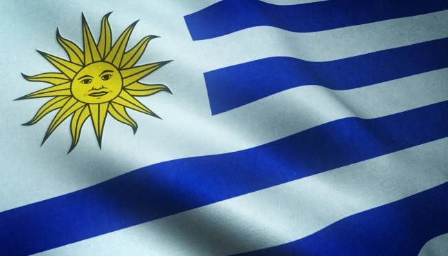 Vendas de caminhões e ônibus no Uruguai crescem 21,9% no primeiro semestre de 2025