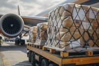 Demanda global por carga aérea cresce 5,5% em julho, aponta IATA