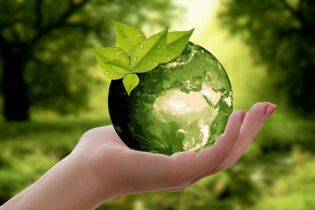 72% das empresas fluminenses exigem adoção de ações sustentáveis dos seus fornecedores, revela estudo