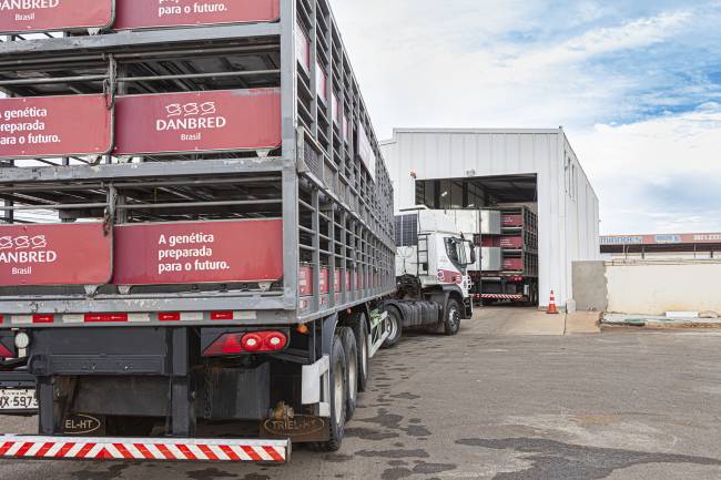 Com TADD System, DanBred Brasil eleva biossegurança e aumenta em 30% a capacidade logística da frota