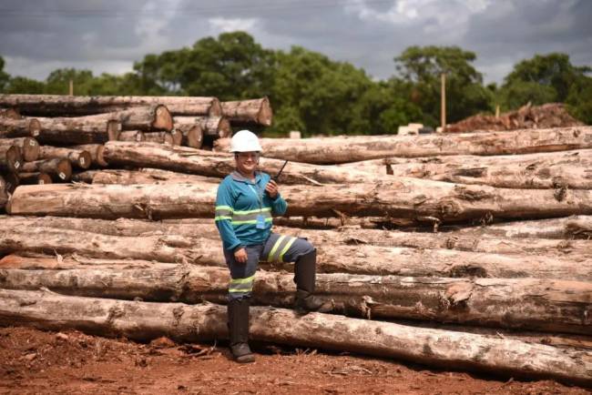 Brado registra recorde no tratamento fitossanitário de cargas no terminal de Rondonópolis