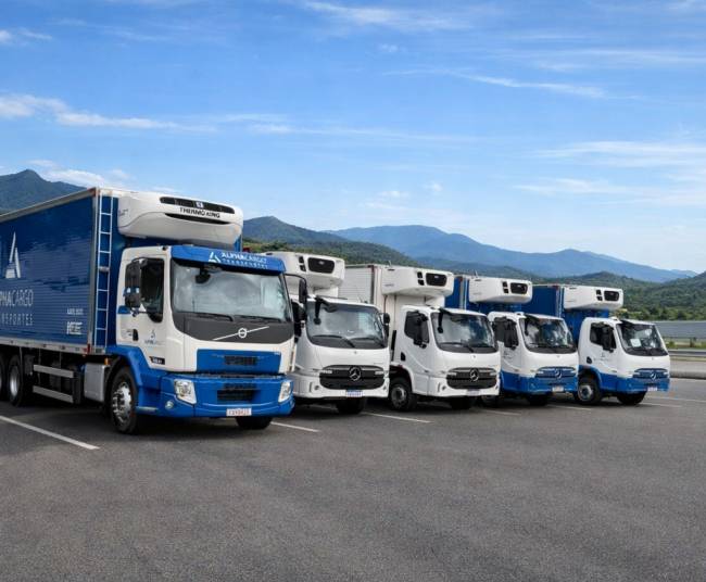 Alpha Cargo conquista certificação OEA e projeta crescimento de 20%