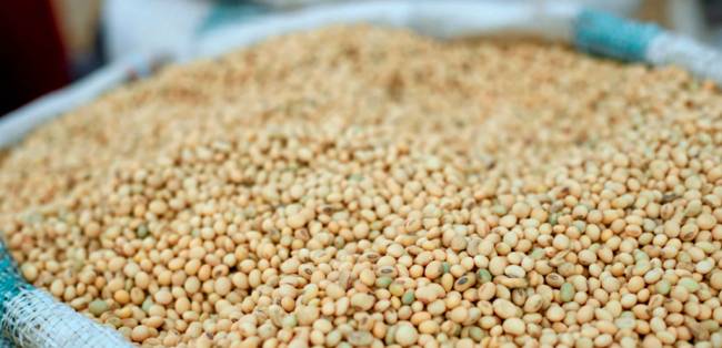 Chuvas atrasam escoamento da soja e provocam alta nos fretes em março