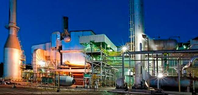 CHEP e Cargill transformam resíduos de paletes em biomassa para geração de energia em Goiânia