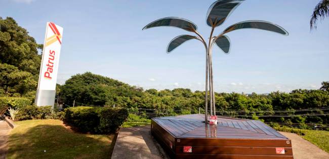 Patrus Transportes neutraliza 7 mil toneladas de CO₂ e amplia investimentos sociais, aponta relatório ESG