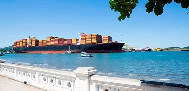 Exportações brasileiras de frutas em contêineres crescem 20,4% no primeiro semestre