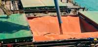 VLI inicia transporte ferroviário de sorgo para exportação à China e à África